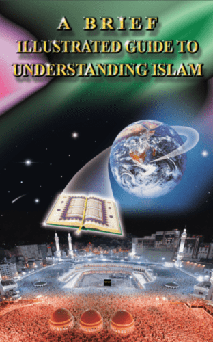 A brief illustrated guide to understanding Islam