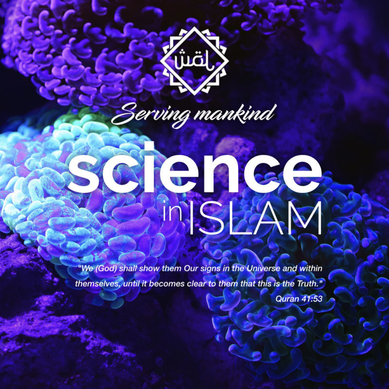 Science in Islam.001 - WOL Foundation
